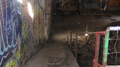 Nov. 9, 2024 - IMG_2572.JPG