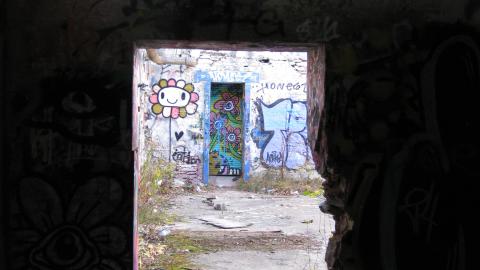 Nov. 9, 2024 - IMG_2573.JPG