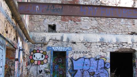 Nov. 9, 2024 - IMG_2574.JPG