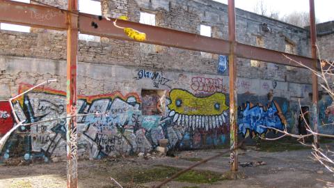 Nov. 9, 2024 - IMG_2577.JPG