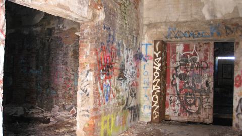 Nov. 9, 2024 - IMG_2578.JPG