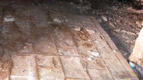 Nov. 9, 2024 - IMG_2579.JPG