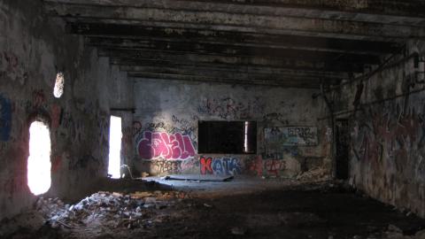 Nov. 9, 2024 - IMG_2580.JPG