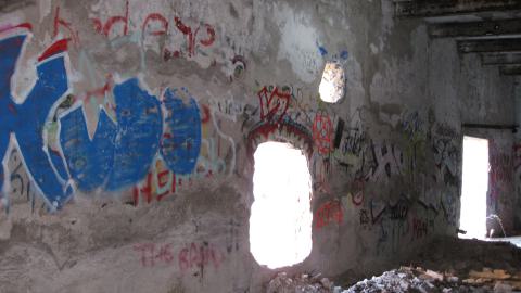 Nov. 9, 2024 - IMG_2581.JPG