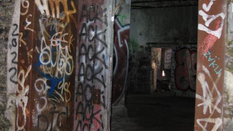 Nov. 9, 2024 - IMG_2582.JPG