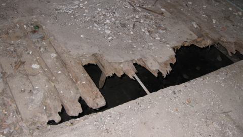 Nov. 9, 2024 - IMG_2585.JPG