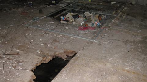 Nov. 9, 2024 - IMG_2586.JPG