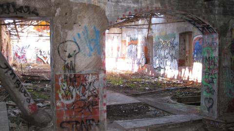 Nov. 9, 2024 - IMG_2589.JPG