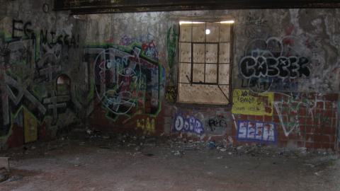 Nov. 9, 2024 - IMG_2590.JPG