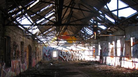 Nov. 9, 2024 - IMG_2592.JPG