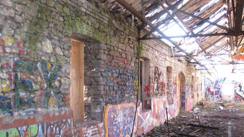 Nov. 9, 2024 - IMG_2593.JPG