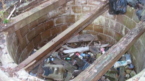 Nov. 9, 2024 - IMG_2595.JPG