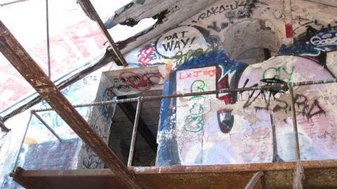 Nov. 9, 2024 - IMG_2596.JPG