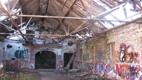 Nov. 9, 2024 - IMG_2598.JPG