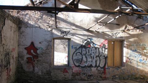 Nov. 9, 2024 - IMG_2601.JPG