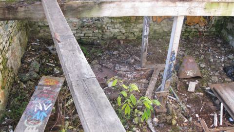 Nov. 9, 2024 - IMG_2602.JPG