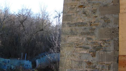 Nov. 9, 2024 - IMG_2610.JPG