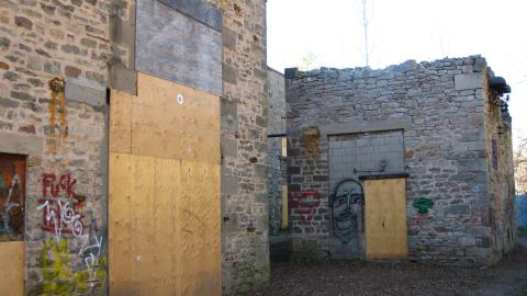 Nov. 9, 2024 - IMG_2611.JPG