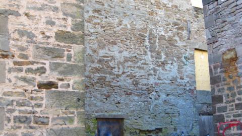 Nov. 9, 2024 - IMG_2612.JPG