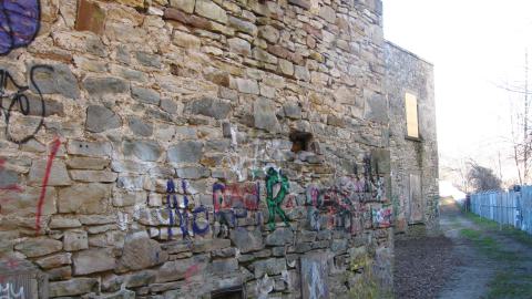 Nov. 9, 2024 - IMG_2614.JPG