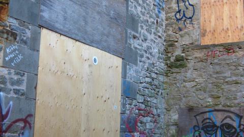 Nov. 9, 2024 - IMG_2615.JPG