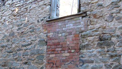 Nov. 9, 2024 - IMG_2616.JPG