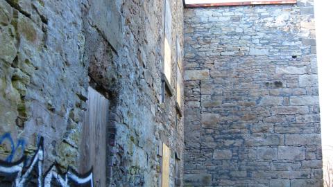 Nov. 9, 2024 - IMG_2617.JPG