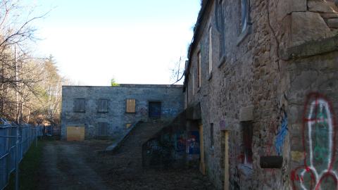 Nov. 9, 2024 - IMG_2619.JPG