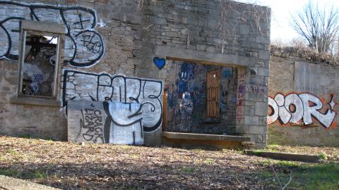 Nov. 9, 2024 - IMG_2621.JPG