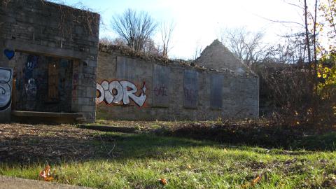 Nov. 9, 2024 - IMG_2622.JPG