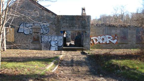 Nov. 9, 2024 - IMG_2623.JPG