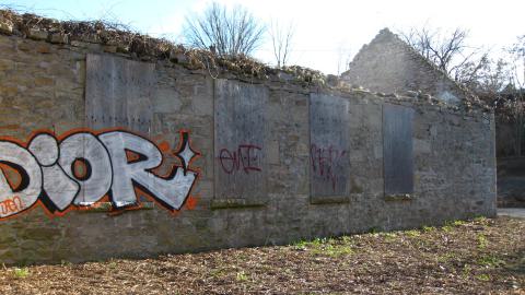 Nov. 9, 2024 - IMG_2624.JPG