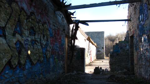 Nov. 9, 2024 - IMG_2625.JPG