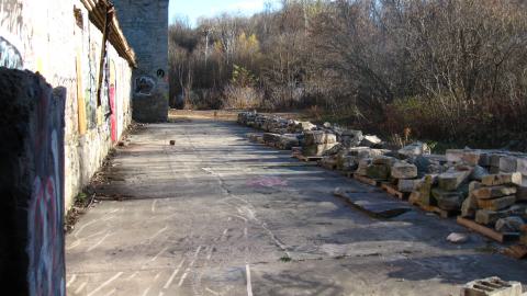 Nov. 9, 2024 - IMG_2627.JPG