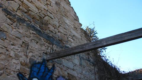 Nov. 9, 2024 - IMG_2628.JPG