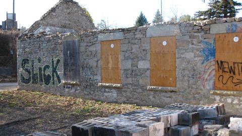 Nov. 9, 2024 - IMG_2629.JPG