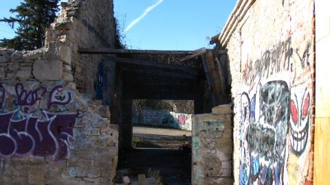 Nov. 9, 2024 - IMG_2630.JPG