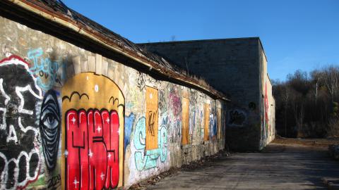 Nov. 9, 2024 - IMG_2631.JPG