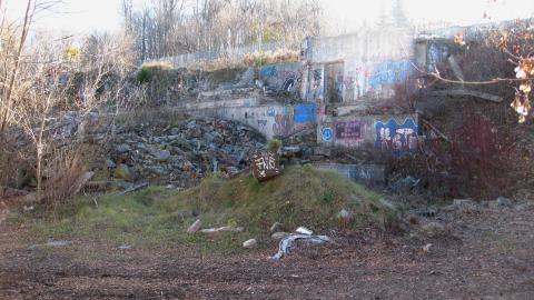 Nov. 9, 2024 - IMG_2633.JPG