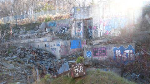 Nov. 9, 2024 - IMG_2635.JPG