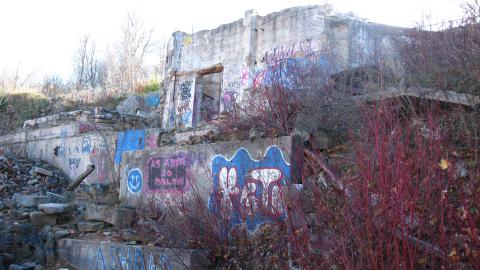 Nov. 9, 2024 - IMG_2636.JPG