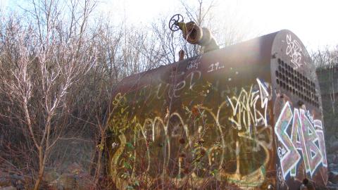 Nov. 9, 2024 - IMG_2638.JPG