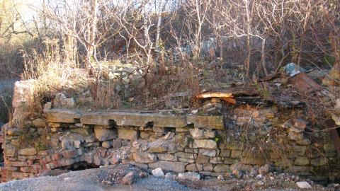 Nov. 9, 2024 - IMG_2639.JPG