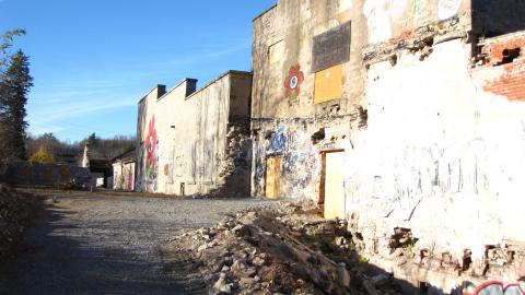 Nov. 9, 2024 - IMG_2640.JPG