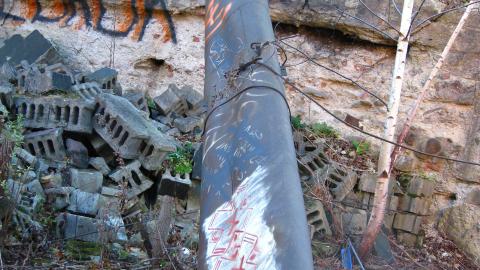 Nov. 9, 2024 - IMG_2641.JPG