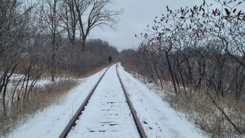 The Hunch - 20241227_132713.jpg