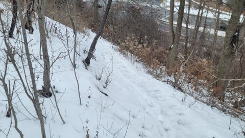 Photo from The Hunch