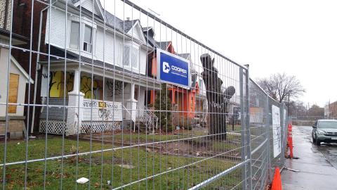 Rain and Ruin - IMG_20241229_114822756.jpg