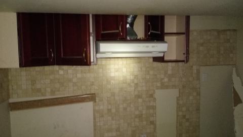 Rain and Ruin - IMG_20241229_115333582.jpg