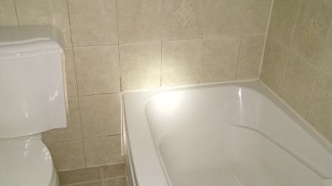 Rain and Ruin - IMG_20241229_115448604.jpg